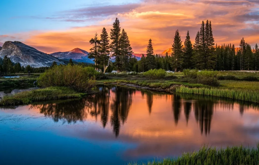 Тестовая запись